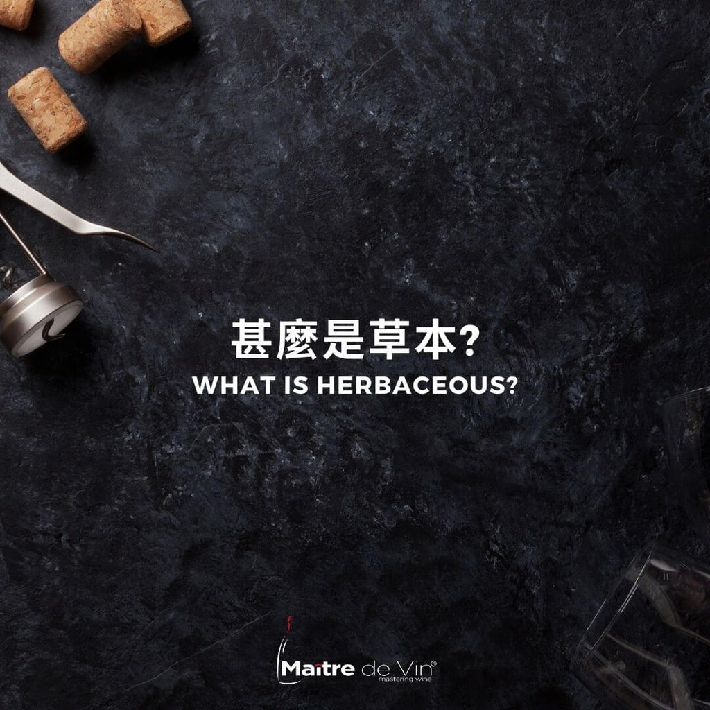 什么是草本?